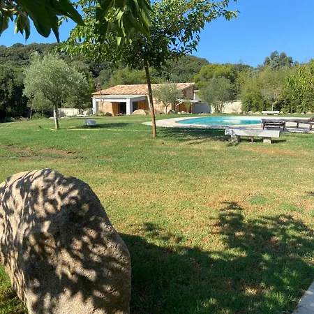 Bala Detente Nature